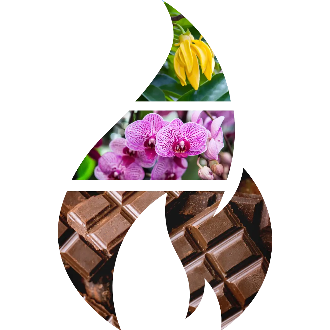Black Orchid