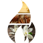Grandma's Bakery