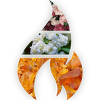 Sacred Resin